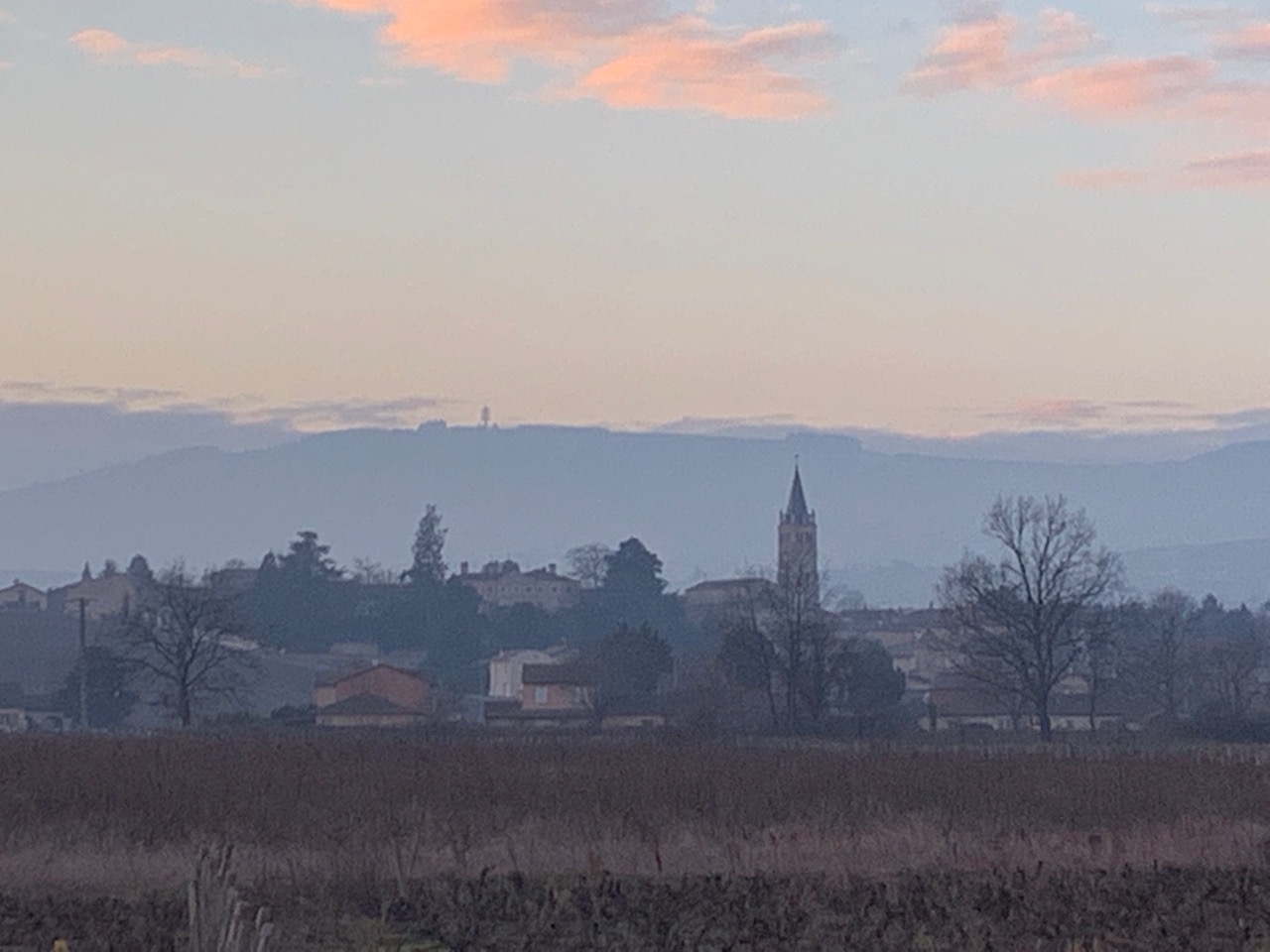 Domaine Nestor Bélicard - Clocher d'avenas en hiver