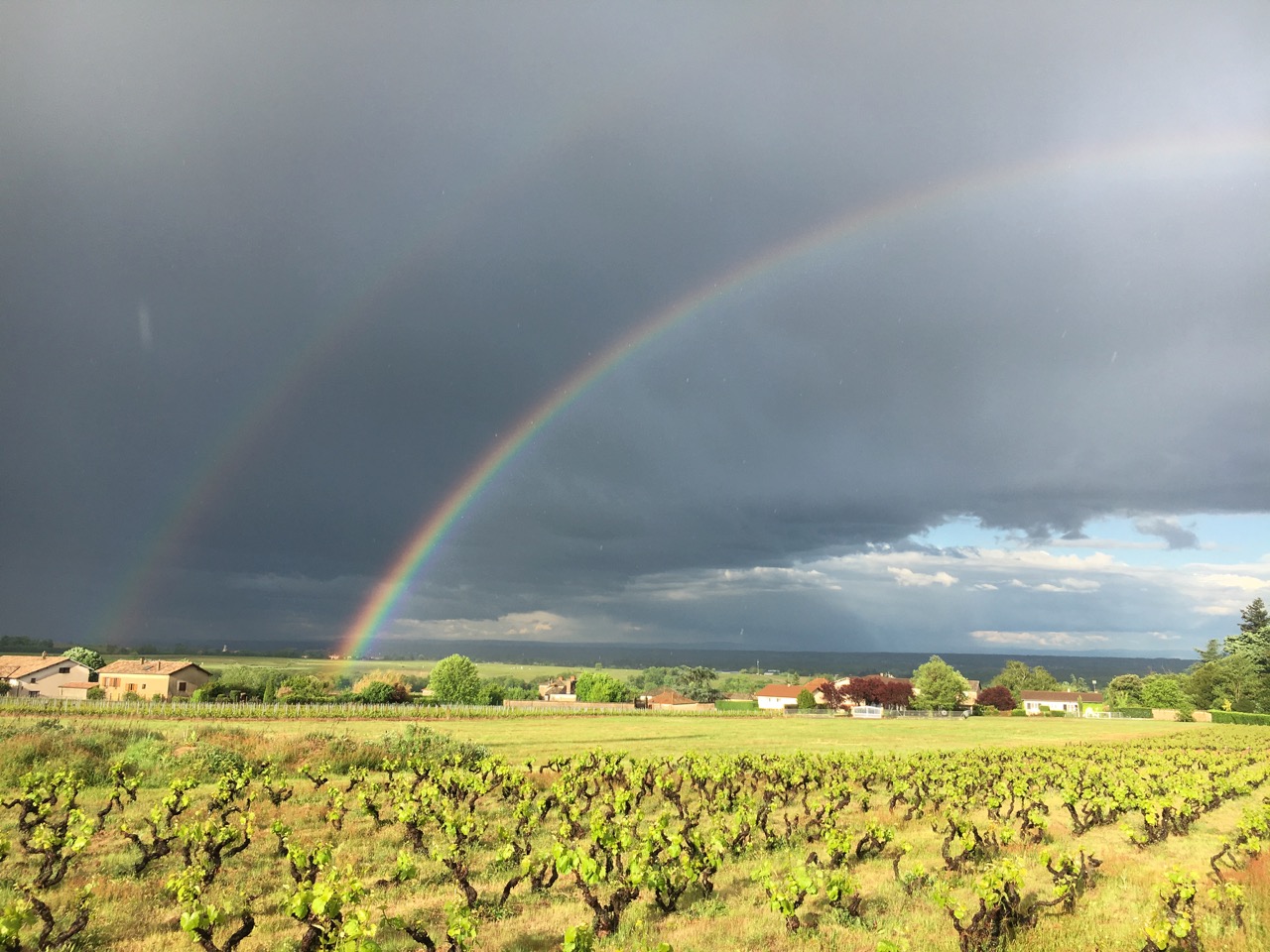 Domaine Nestor Bélicard - Arc-en-ciel