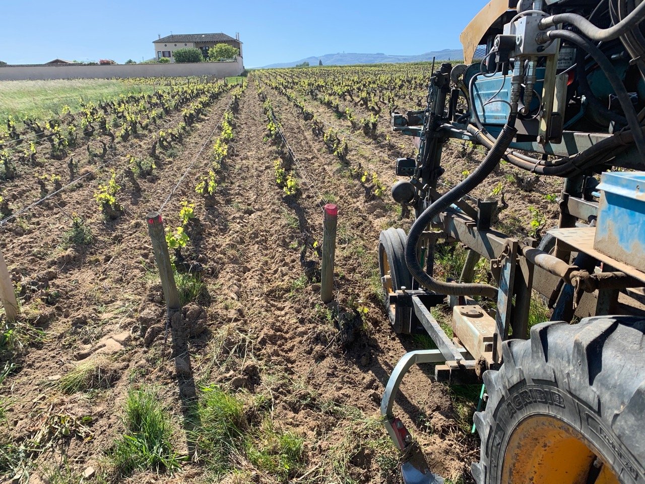 Domaine Nestor Bélicard - Labourage